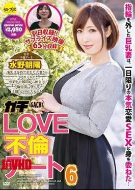 Mosaic CESD-353 Gachi LOVE Affair Dating 6 Chaoyang Mizuno